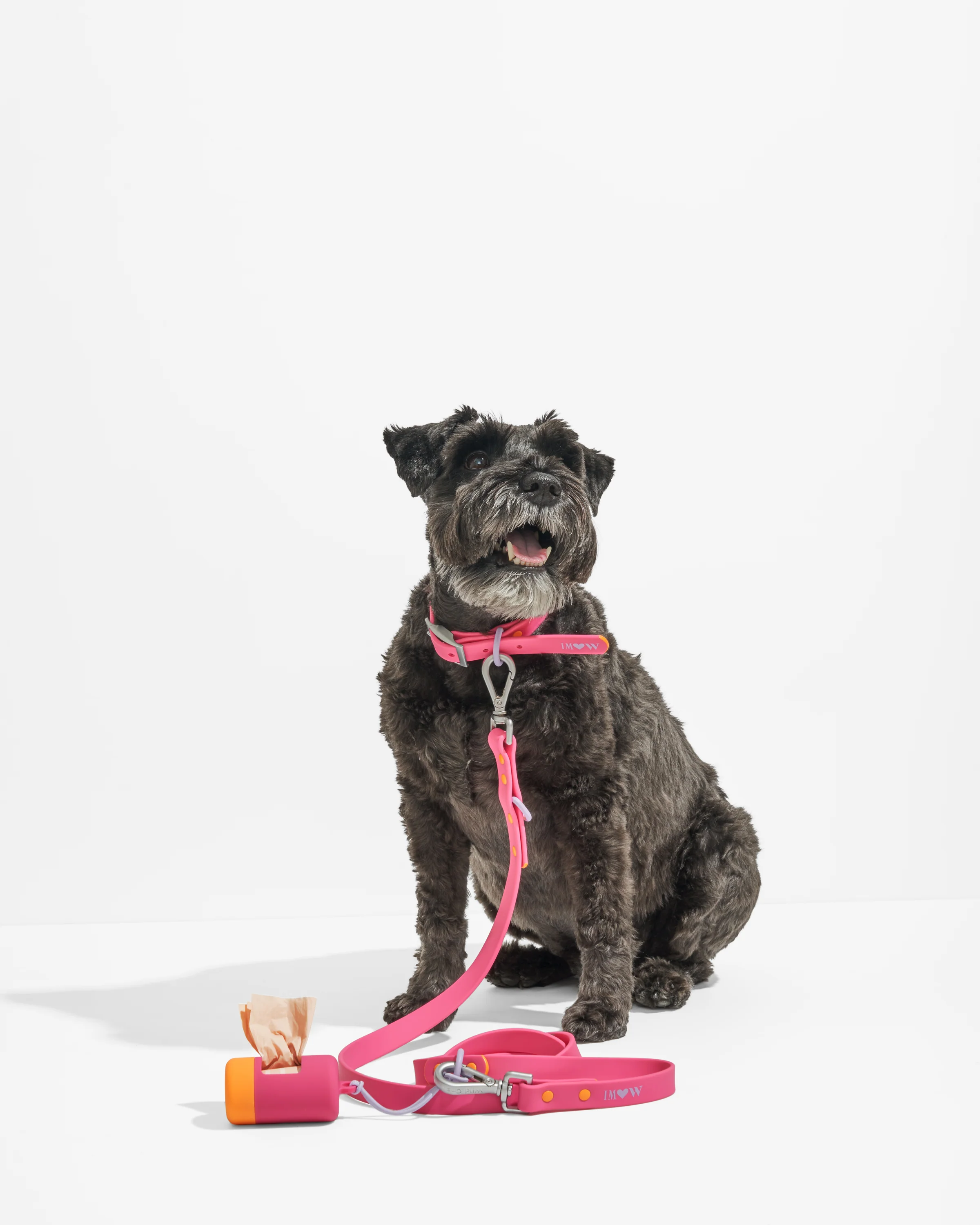 Waterproof Dog Collar - Image 88
