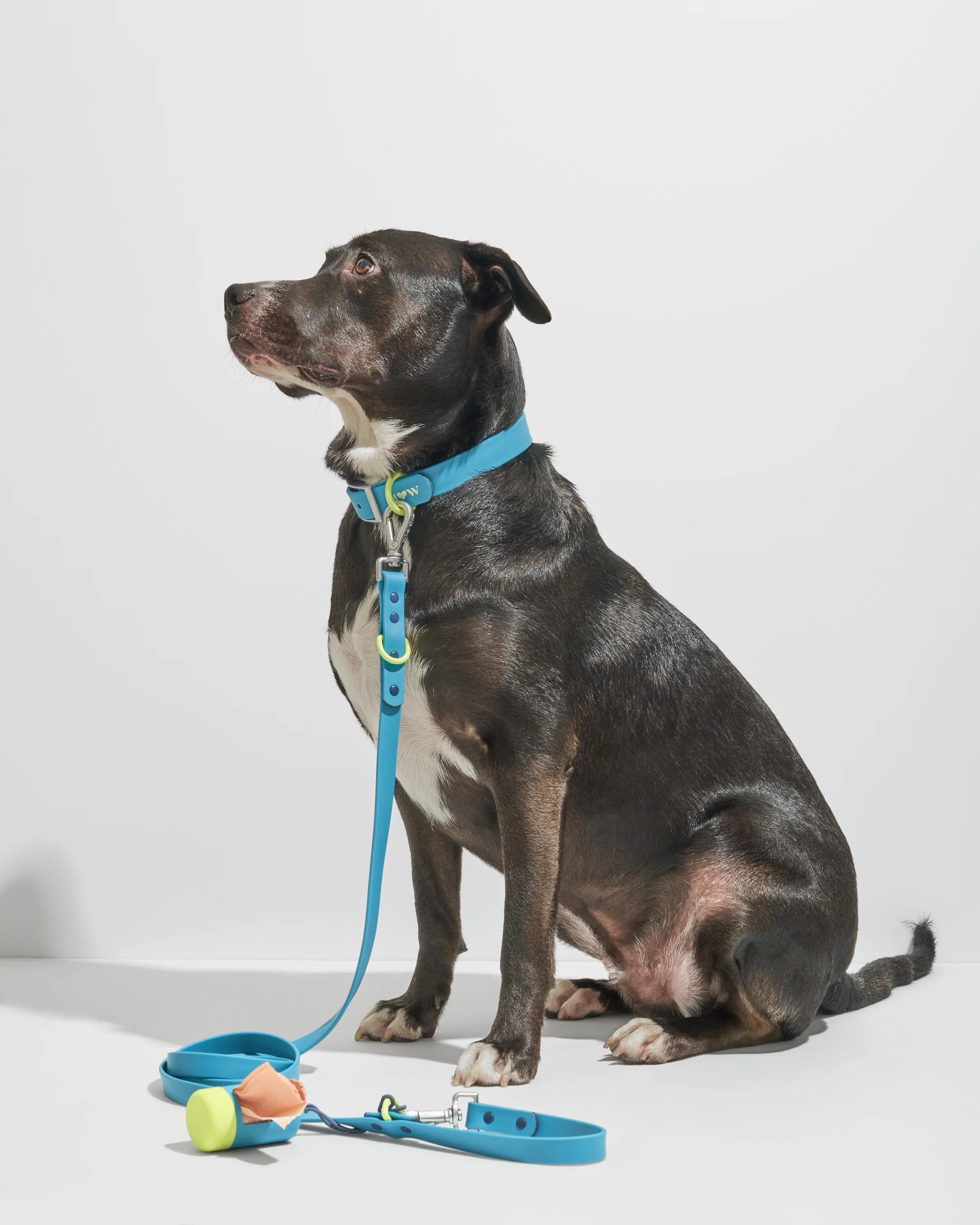 Waterproof Dog Collar - Image 94