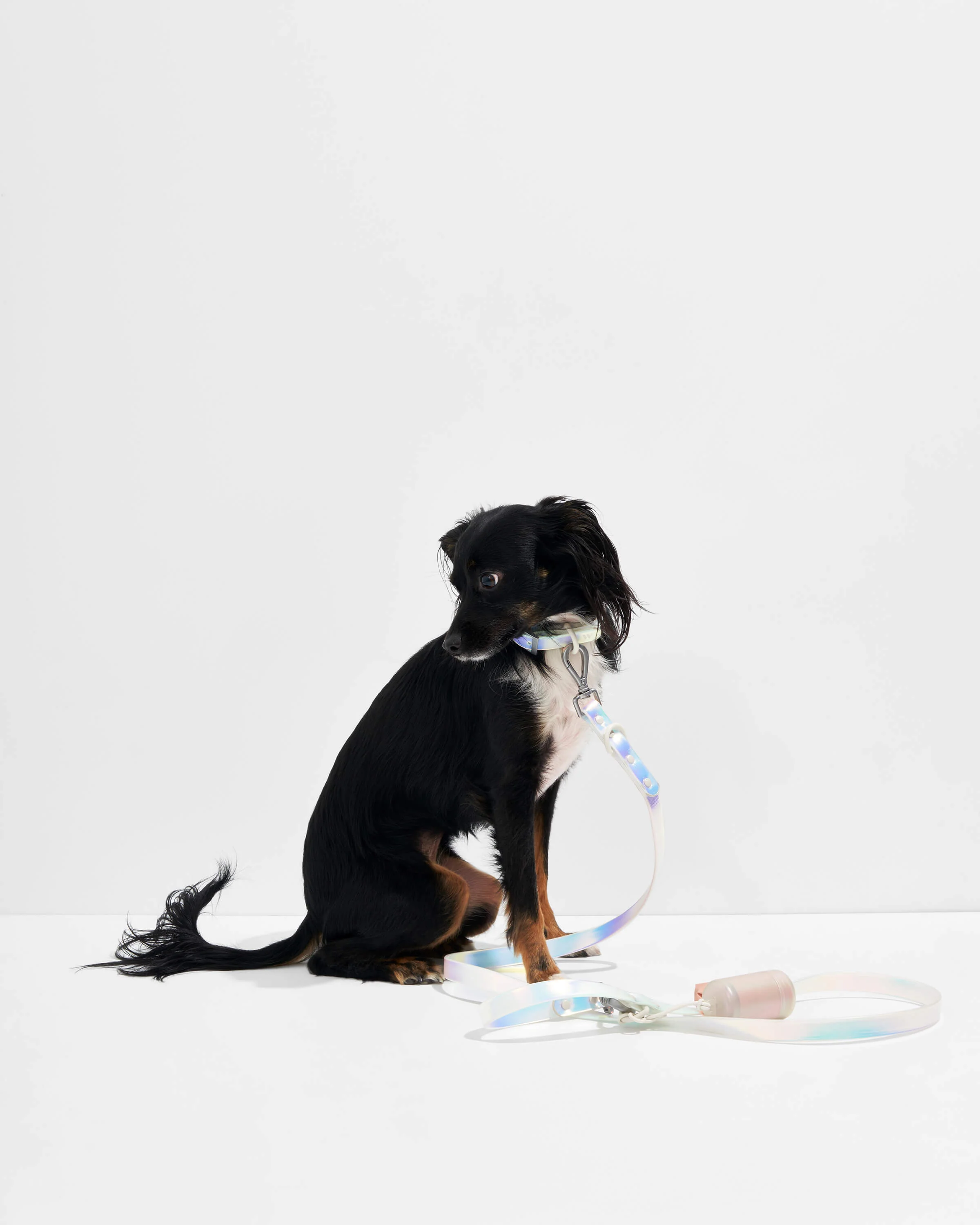 Waterproof Dog Leash - Image 12