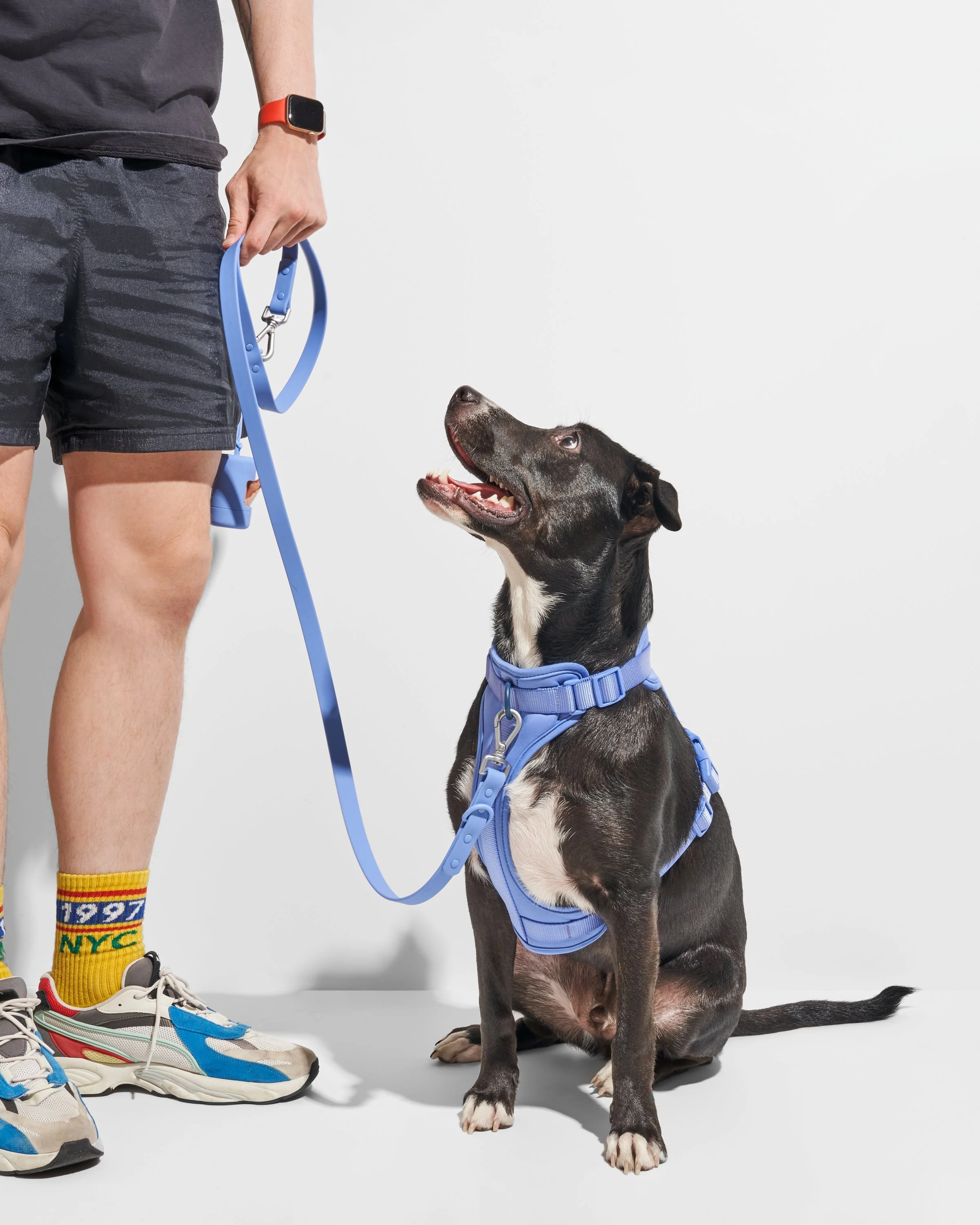 Waterproof Dog Leash - Image 25